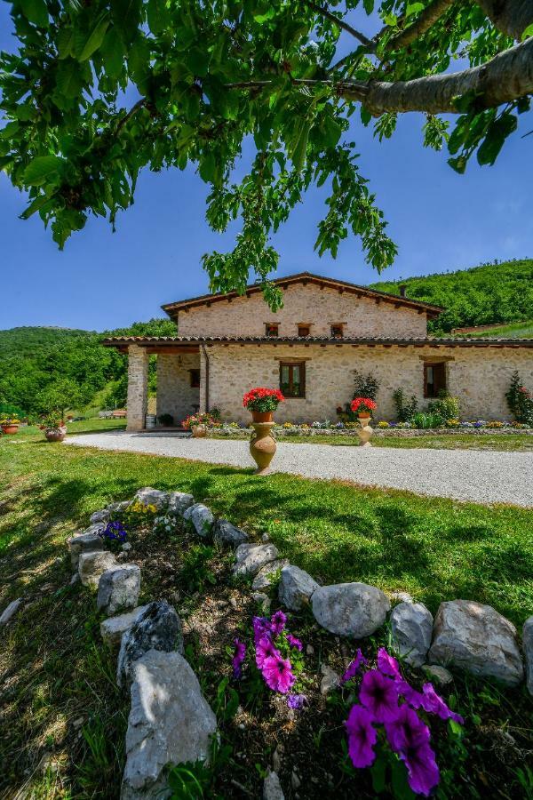 Agriturismo La Valle Dei Bronzetti Кашія Екстер'єр фото
